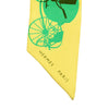 Hermès Rayons X Silk Twilly Scarf Secondhand