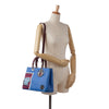 Dior Medium Embroidered Diorissimo Satchel Secondhand