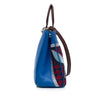 Dior Medium Embroidered Diorissimo Satchel Secondhand