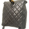 Chanel Medium Quilted Lambskin Duma Backpack Secondhand