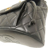 Chanel Medium Quilted Lambskin Duma Backpack Secondhand
