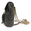 Chanel Medium Quilted Lambskin Duma Backpack Secondhand
