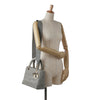 Dior Medium Canvas Cannage Lady D Lite Secondhand