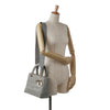 Dior Medium Canvas Cannage Lady D Lite Secondhand