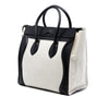 Secondhand Celine Mini Bicolor Canvas and Leather Luggage Tote