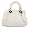 Dior Medium Cannage Lady D-Lite Secondhand
