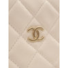 Chanel CC Quilted Lambskin Chain Around Pouch Hobo Secondhand