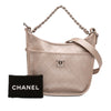 Chanel Small Quilted Metallic Calfskin Jungle Stroll Hobo Secondhand