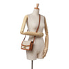 Celine Teen Canvas Triomphe Crossbody Secondhand