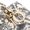 Dior Small Denim Toile de Jouy Soleil Lady D Joy Secondhand