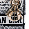 Dior Mini Embroidered Canvas Plan de Paris Lady D Lite Secondhand