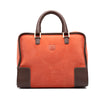 LOEWE Suede Amazona 32 Secondhand