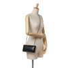 Chanel Quilted Lambskin Chain Around Clutch Secondhand