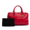 LOEWE Leather Amazona 36 Secondhand