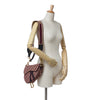 Dior Oblique Canvas Saddle Bag Secondhand