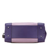 LOEWE Tricolor Goatskin Amazona 28 Secondhand
