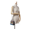 Dior Wang Guangle Medium PVC Technical Fabric Lady Dior Secondhand