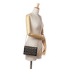 Dior Studded Calfskin Cannage Lady Dior Wallet on Chain Secondhand