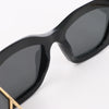 Louia Vuitton Acetate Arizona Dream Sunglasses in Black Z1220W Secondhand