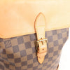 Louis Vuitton Arlequin Damier Ebene Backpack in Brown N99038 Secondhand