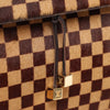 Secondhand Louis Vuitton Lionne Damier Sauvage Pony-style Leather Handbag in Brown M92131