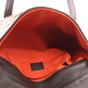 Secondhand Louis Vuitton Lionne Damier Sauvage Pony-style Leather Handbag in Brown M92131