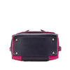 LOEWE Grained Bicolor Calfskin Cruz Satchel Secondhand