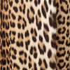 Secondhand Turrini Leopard Fur Coat - '60s