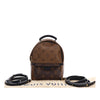 Louis Vuitton Monogram Reverse Mini Palm Springs Secondhand