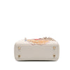 Dior Niki De Saint Phalle Mini Calfskin Dioramour Lady Dior Secondhand