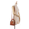Dior Mini Metallic Calfskin Cannage Lady Dior Secondhand