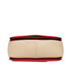 Celine Medium Shiny Smooth Calfskin Frame Shoulder Bag Secondhand