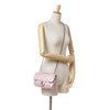 Secondhand Chanel Mini Quilted Metallic Calfskin Coco Pleats Chain Flap