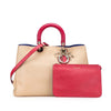 Dior Large Bicolor Leather Diorissimo Satchel Secondhand
