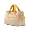 Celine Canvas Boogie Handbag Secondhand