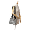 Dior Medium Calfskin Checkered Lady Dior Secondhand