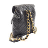 Chanel Medium quilted Lambskin Duma Backpack Secondhand