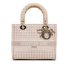 Dior Medium Embroidered Canvas Houndstooth Lady D Lite Secondhand