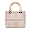 Dior Medium Embroidered Canvas Houndstooth Lady D Lite Secondhand