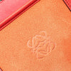 LOEWE Suede Amazona 36 Secondhand