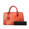 LOEWE Suede Amazona 36 Secondhand