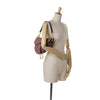 Dior Oblique Canvas Saddle Bag Secondhand