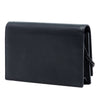 Saint Laurent Calfskin Cloud Star Applique Classic Monogram Kate Tassel Wallet on Chain Secondhand