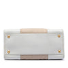 Prada Saffiano Trimmed Canvas Canapa Satchel Secondhand
