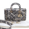 Dior Medium Calfskin Plan De Paris Printed Lady D Joy Secondhand