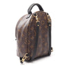 Louis Vuitton Monogram Mini Palm Springs Secondhand