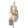 Goyard Goyardine Poitiers Claire Voie Secondhand