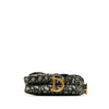 Dior Mini Oblique Canvas Saddle Bag Secondhand