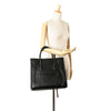 Celine Large Smooth Calfskin Phantom Luggage Tote Secondhand