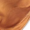 Celine Triomphe Coated Canvas Logo Triangle Crossbody Secondhand